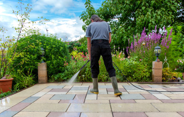 Animal Enclosure Cleaning in Ravenna, MI