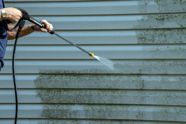 Best Driveway Pressure Washing  in Ravenna, MI